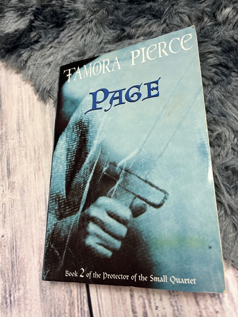 Page Book 2 of the Protector of the Small by Tamora Pierce